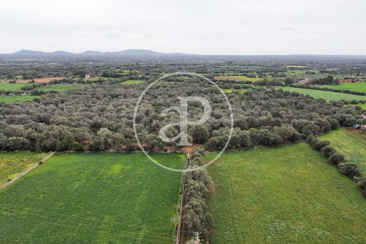 Land in Felanitx, Province of Balearic Islands