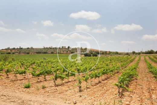 Land in Utiel, Valencia