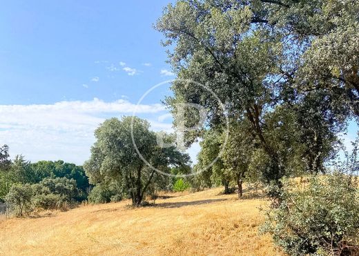地皮  San Sebastián de los Reyes, Provincia de Madrid