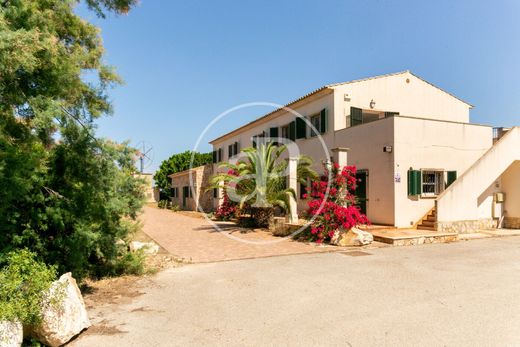 Ferme à Palma de Majorque, Province des Îles Baléares