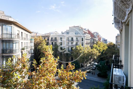 Daire Barselona, Província de Barcelona
