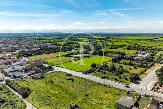 Grundstück in Campos, Balearen Inseln