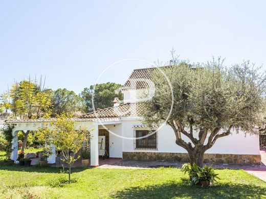 Villa in Campo Olivar, Valencia