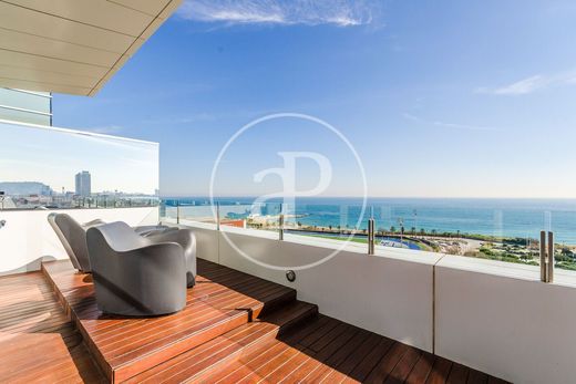 Penthouse in Barcelona, Province of Barcelona