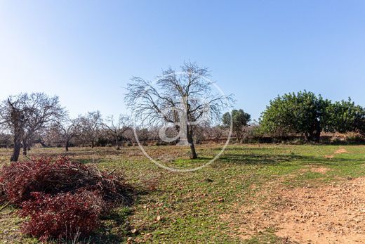 Terreno a Felanitx, Isole Baleari