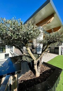 Lons, Pyrénées-Atlantiquesの高級住宅