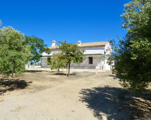Landhuis in Osuna, Provincia de Sevilla