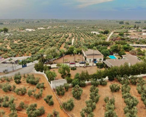 郊区住宅  Utrera, Provincia de Sevilla