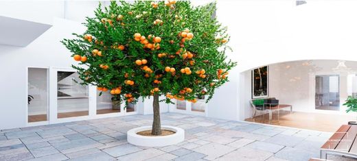 Appartamento a Vila Real de Santo António, Distrito de Faro