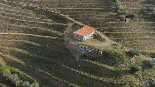 Casa rural / Casa de pueblo en São João da Pesqueira, Viseu