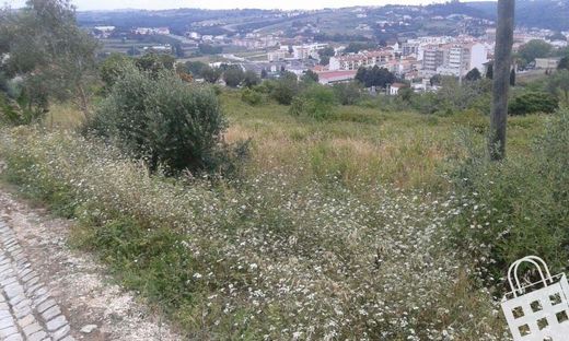 Grundstück in Alcobaça, Distrito de Leiria