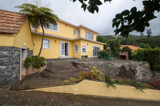 ﻣﻨﺰﻝ ﺭﻳﻔﻲ/ ﺑﻴﺖ ﻤﺰﺭﻋﺔ ﻓﻲ Funchal, Madeira