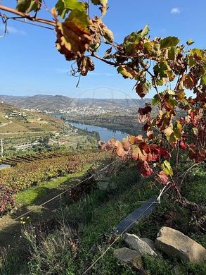 Ρουστίκ ή Αγροικίες σε Lamego, Distrito de Viseu