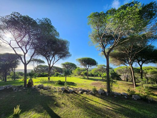 ﻣﻨﺰﻝ ﺭﻳﻔﻲ/ ﺑﻴﺖ ﻤﺰﺭﻋﺔ ﻓﻲ لولي, Loulé