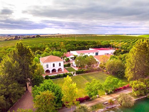 ‏בתים כפריים או חוות ב  Ferreira do Alentejo, Distrito de Beja