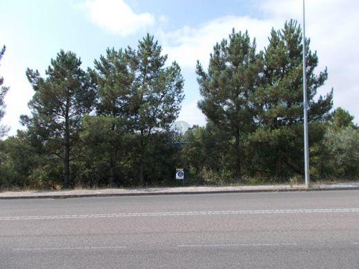Terreno en Santarém