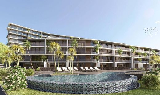 套间/公寓  Funchal, Madeira