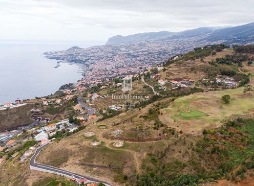 Teren w Funchal, Madeira
