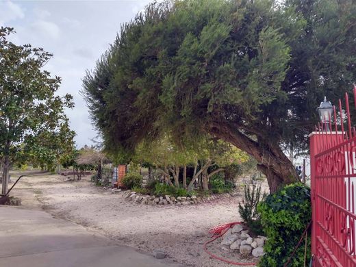 Villa in Coruche, Distrito de Santarém