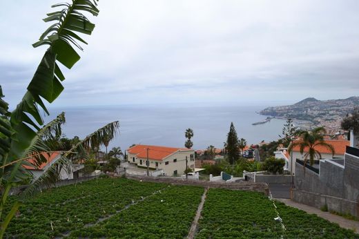 أرض ﻓﻲ Funchal, Madeira