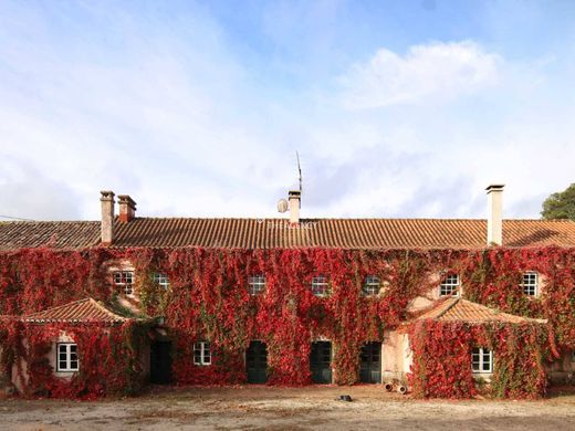 Demeure ou Maison de Campagne à Torres Vedras, Lisbonne