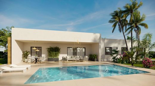 Villa in Aspe, Alicante