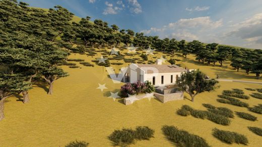 Land in Conceição e Estoi, Faro