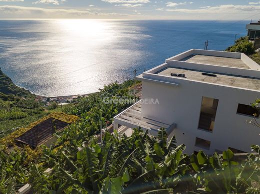 Ponta do Sol, Madeiraのヴィラ