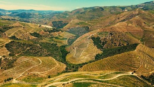 Ρουστίκ ή Αγροικίες σε São João da Pesqueira, Distrito de Viseu