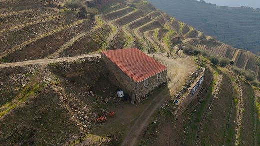 Rural or Farmhouse in São João da Pesqueira, Distrito de Viseu