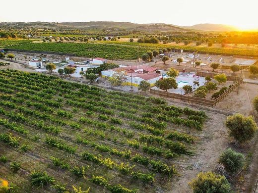 Усадьба / Сельский дом, Vila de Frades, Vidigueira