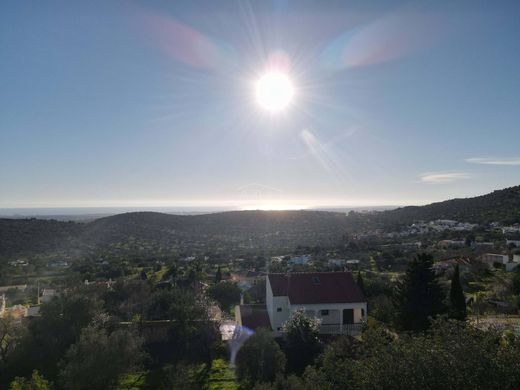 地皮  洛萊, Loulé