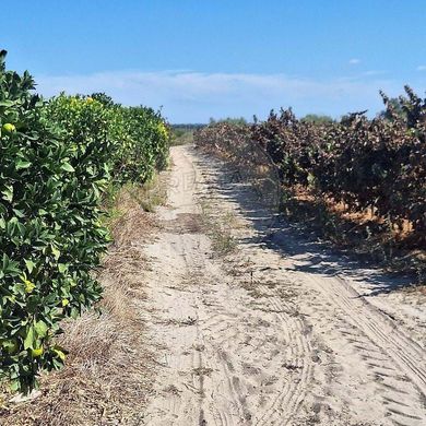 Demeure ou Maison de Campagne à Palmela, Distrito de Setúbal