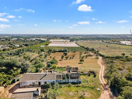 Land in Santa Bárbara de Nexe, Faro