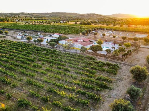 Rural or Farmhouse in Vidigueira, Distrito de Beja