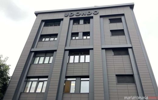 Office in Erandio, Biscay