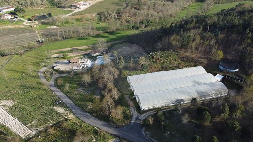 Casa rural / Casa de pueblo en Viseu