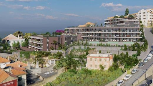 아파트 / Funchal, Madeira