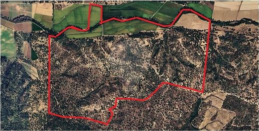 Rustico o Casale a Montemor-o-Novo, Montemor-O-Novo
