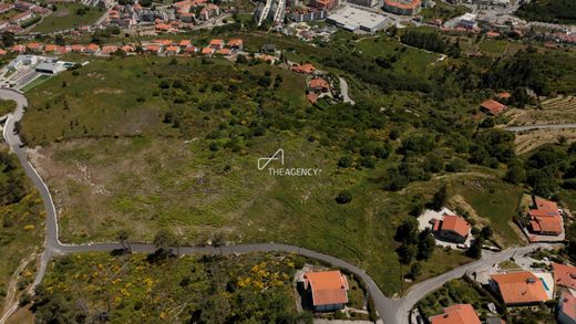 Lamego, Distrito de Viseuの土地