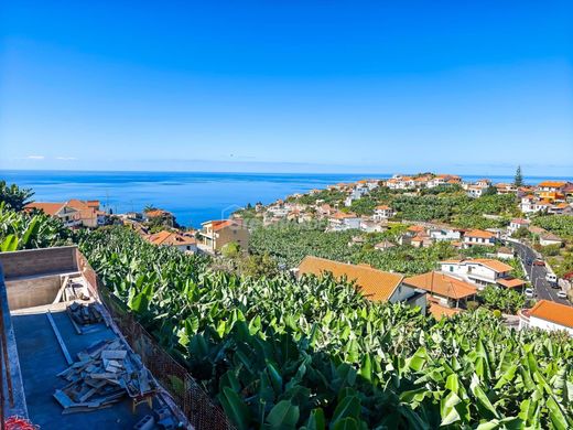 빌라 / Ponta do Sol, Madeira
