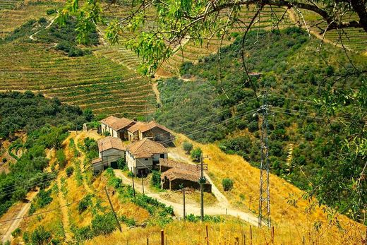 Casa rural / Casa de pueblo en São João da Pesqueira, Viseu