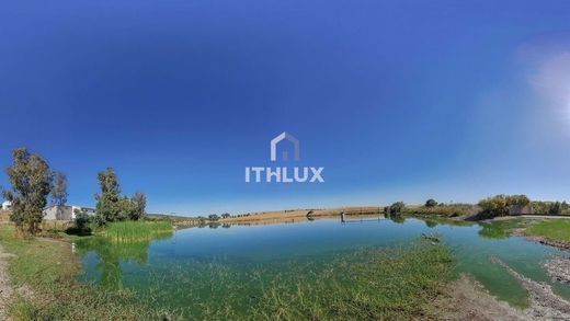 Farm in Elvas, Distrito de Portalegre