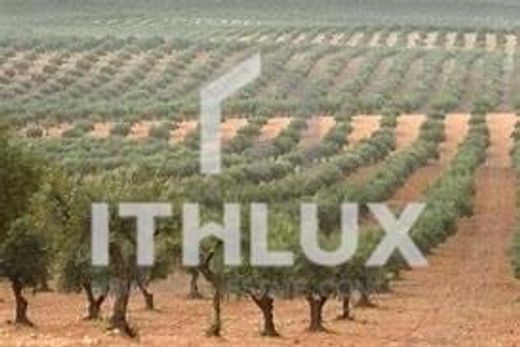 Finca en Elvas, Portalegre