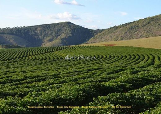 전원/농가 / Évora, Distrito de Évora