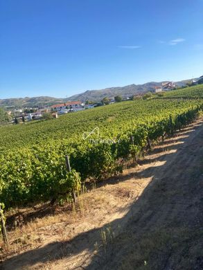 Teren w Alijó, Distrito de Vila Real