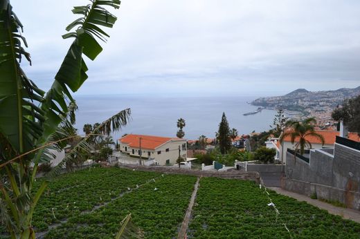 Grond in Funchal, Madeira