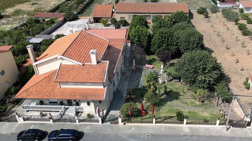 Boerderij te koop Castelo Branco