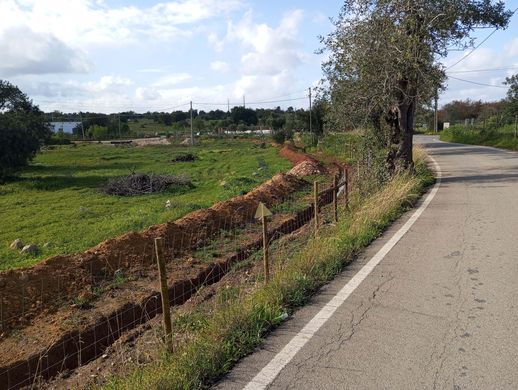 Terreno - Albufeira e Olhos de Água, Albufeira