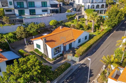 Villa Caniço, Santa Cruz